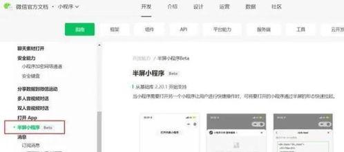小程序最新爆料资讯网,功能升级、玩法革新，揭秘未来趋势