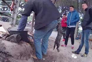 佛山罗村爆料最新消息新闻,突发事件引发关注，详情即将揭晓